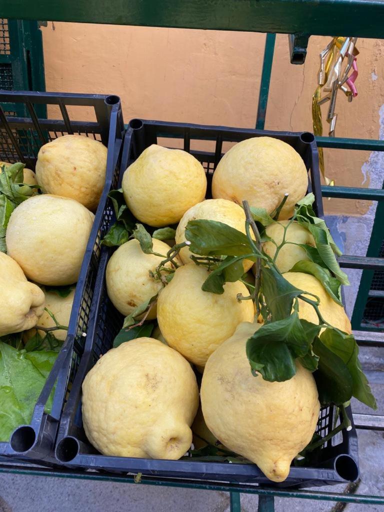 הוילה צ'טארה Casa Maria מראה חיצוני תמונה